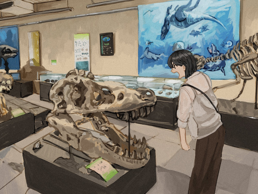 1girl, black_hair, dinosaur_skeleton, dinosaur_skull, display_case, feet_out_of_frame, fossil, highres