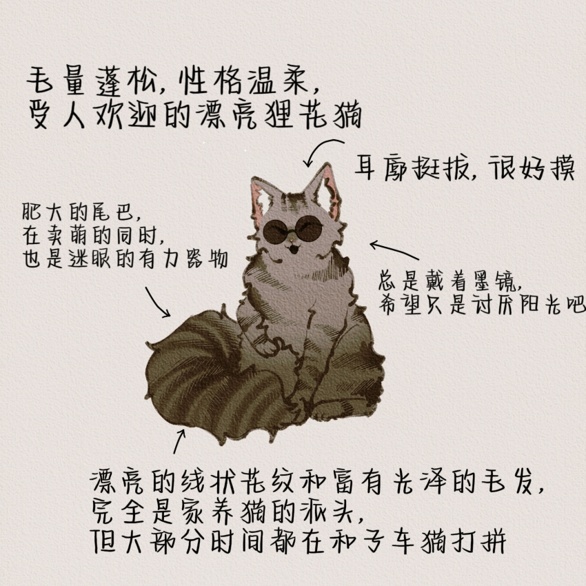 animal_focus, animalization, cat, chinese_commentary, chinese_text, closed_eyes, commentary_request, grey_cat