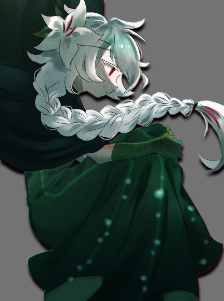 1girl, braid, closed_mouth, commentary_request, cookie_run, cookie_run:_kingdom, dress, flower