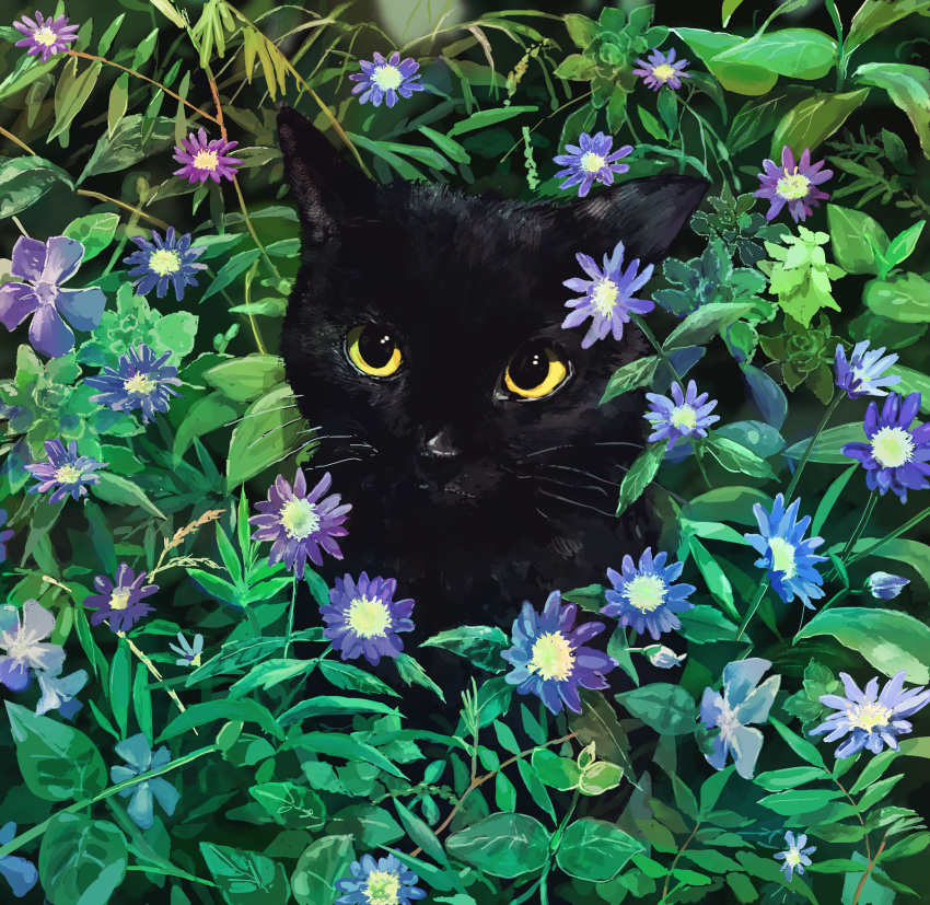 animal_focus, black_cat, blue_flower, cat, day, flower, highres, looking_at_viewer, onyo_(itoyokado_universe), original, outdoors, plant, solo, yellow_eyes