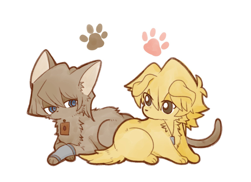 animal, animal_focus, animalization, blue_eyes, brown_eyes, brown_fur, cat, chinese_commentary