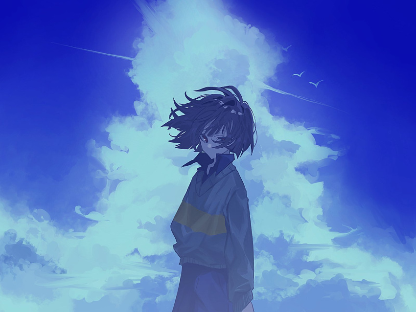 1other, arms_at_sides, bird, black_shirt, blue_sky, blue_theme, brown_hair, brown_pants