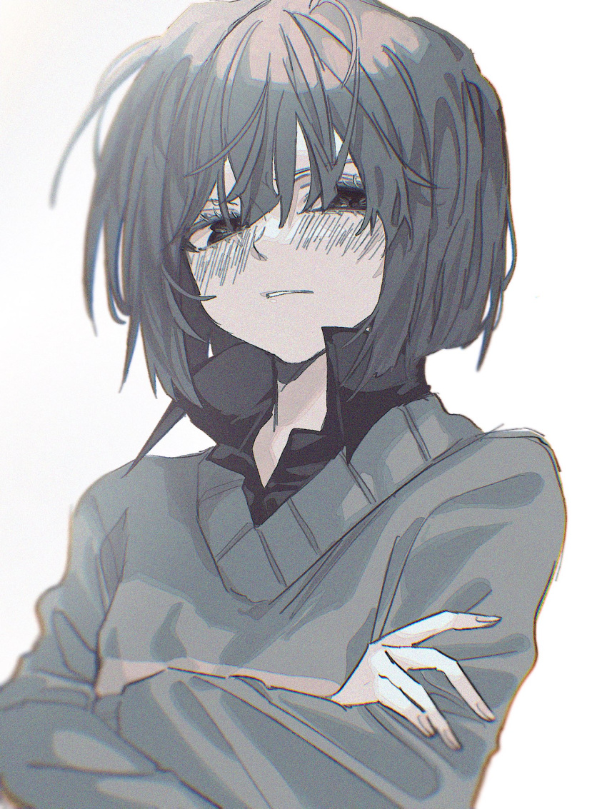 1other, bob_cut, chara_(undertale), collared_shirt, commentary_request, crossed_arms, film_grain, fingernails