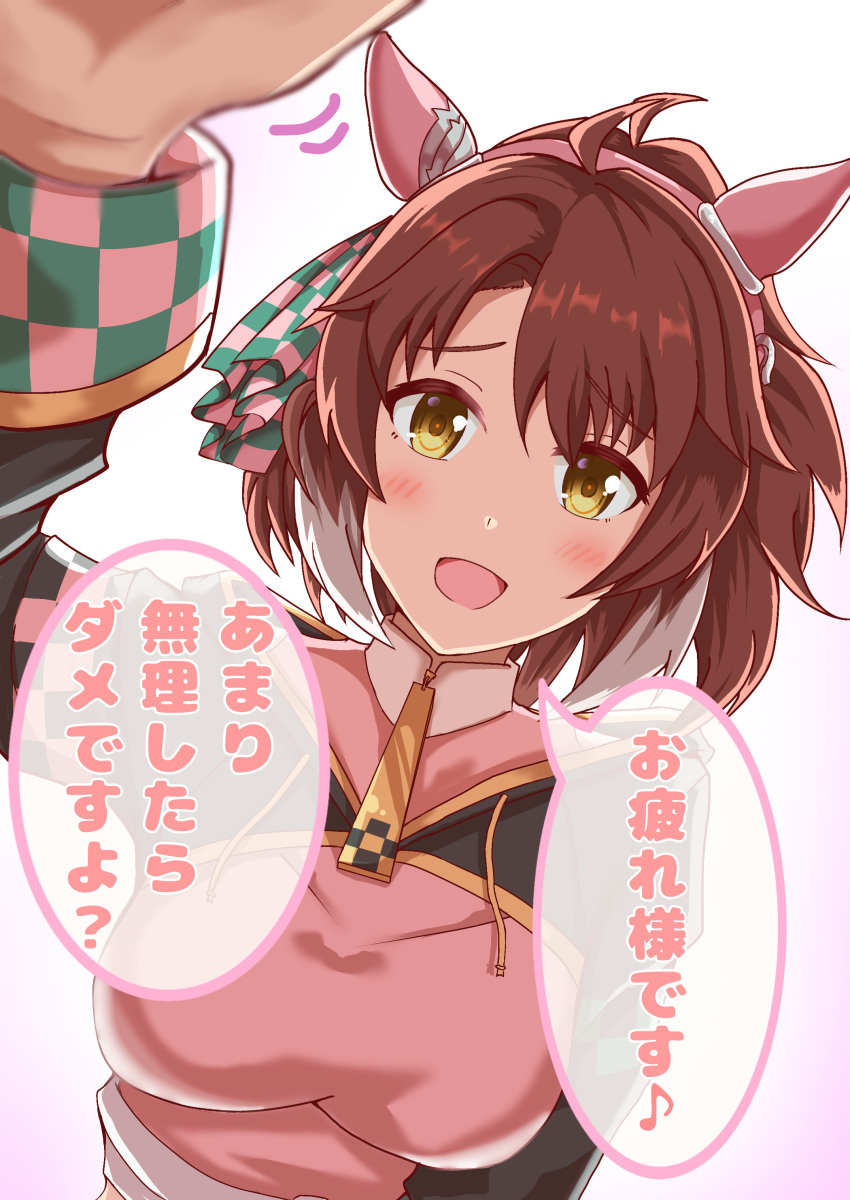 1girl, absurdres, ahoge, animal_ears, breasts, brown_eyes, brown_hair, checkered_ribbon