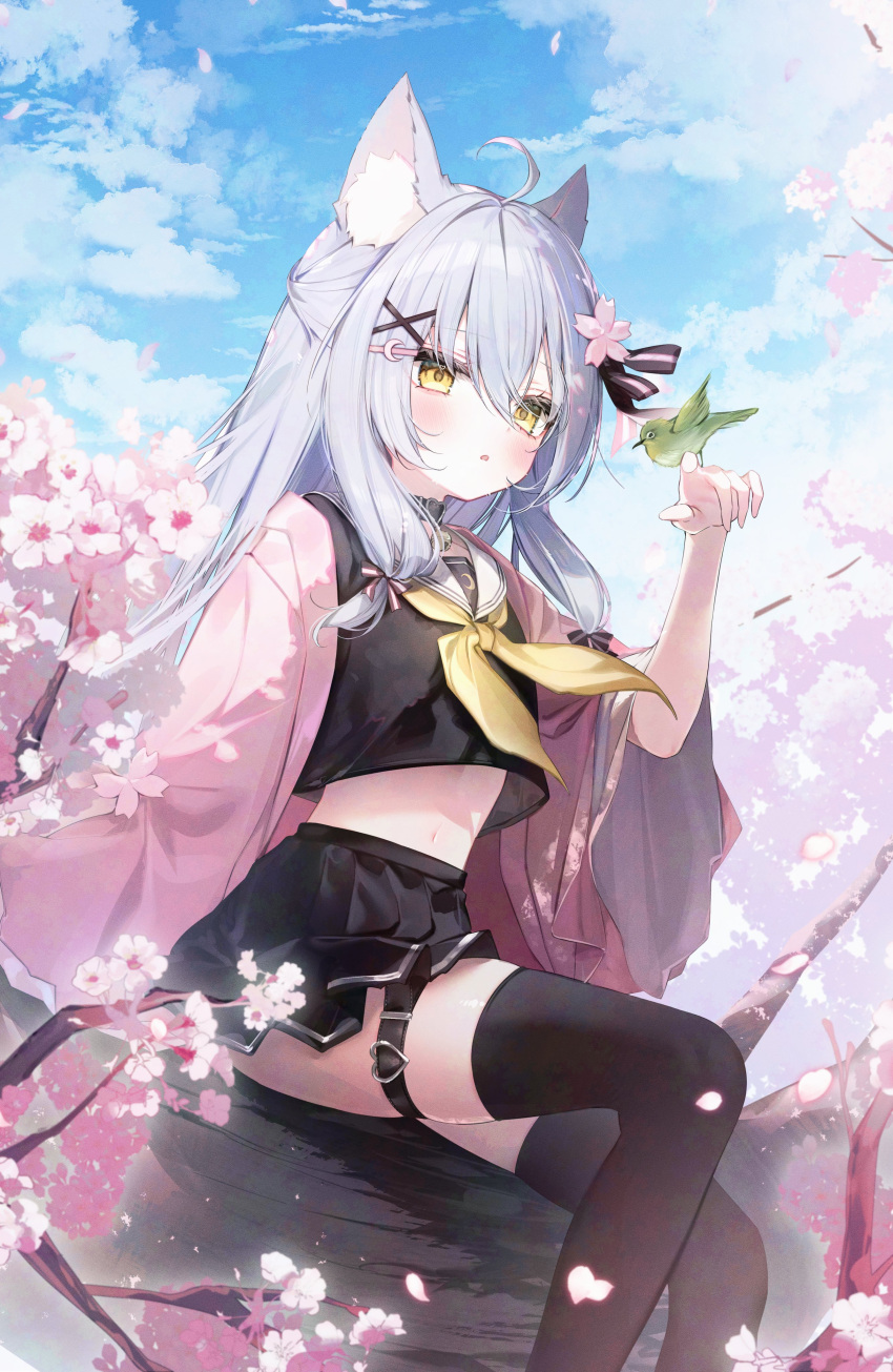1girl, absurdres, animal_ears, bird, bird_on_hand, black_serafuku, black_shirt, black_skirt, black_thighhighs, blue_hair, cat_ears, cat_girl, cherry, cherry_blossoms, cropped_shirt, food, fruit, grey_hair, haori, highres, indie_virtual_youtuber, japanese_clothes, light_blue_hair, log, long_hair, looking_at_animal, midriff, navel, outdoors, petals, pink_haori, sailor_collar, school_uniform, serafuku, shirt, sitting, sitting_on_log, skirt, stomach, tamafurin, thigh-highs, thigh_strap, virtual_youtuber, white_sailor_collar, yazuki_(vtuber), yellow_eyes