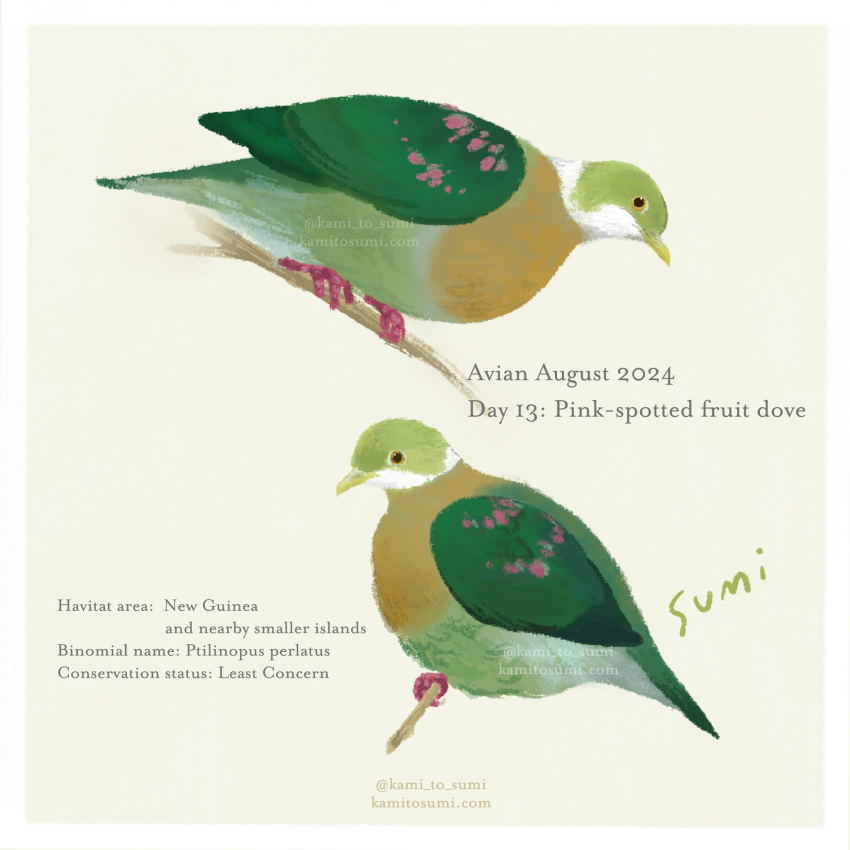 animal, animal_focus, artist_name, bird, border, branch, dove, english_text