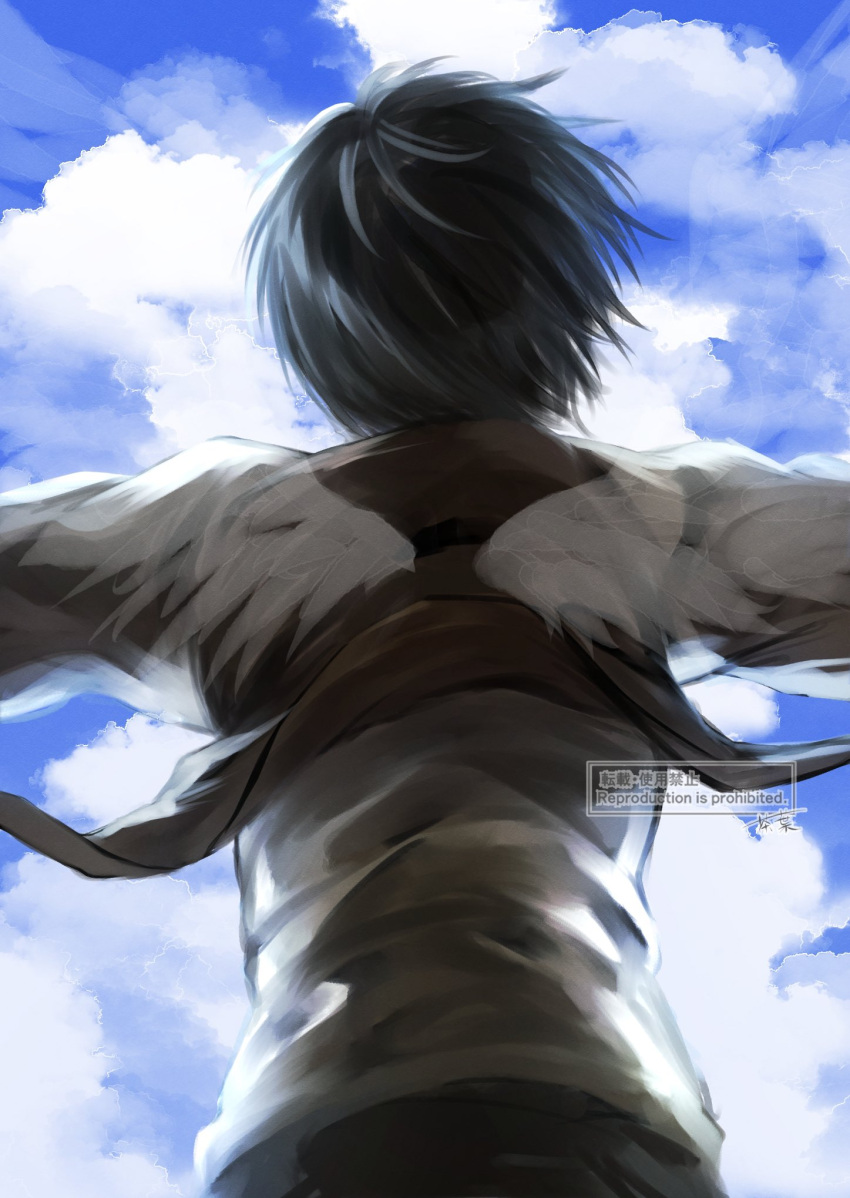 1boy, back, back_focus, black_hair, clouds, cowboy_shot, eren_yeager, facing_away