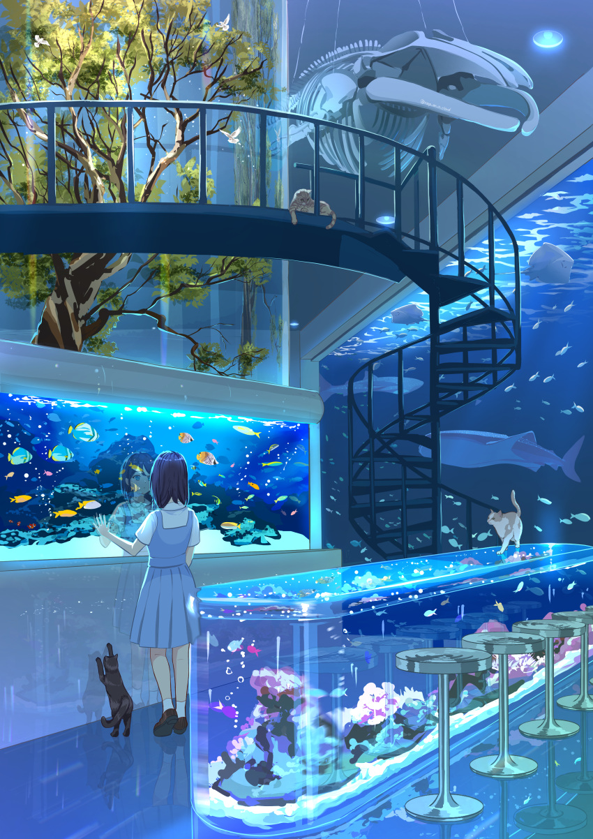 1girl, absurdres, animal, aquarium, black_cat, black_hair, blue_dress, brown_footwear