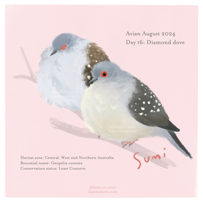 animal, animal_focus, artist_name, bird, border, branch, diamond_dove, english_text, highres, kami_to_sumi, no_humans, original, pink_background, twitter_username, web_address, white_border