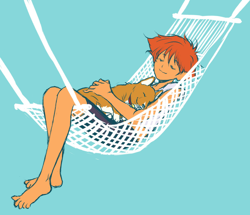1girl, animal, animal_collar, animal_hug, aqua_background, barefoot, bike_shorts, black_shorts