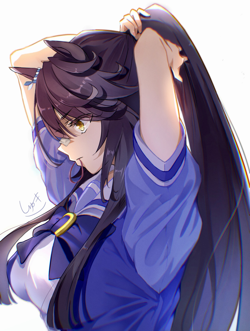 1girl, absurdres, animal_ears, bandaid, bandaid_on_face, bandaid_on_nose, black_hair, bow