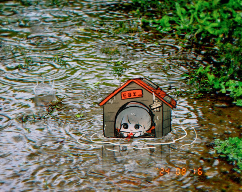 1girl, dated, doghouse, highres, looking_at_viewer, original, outdoors, pankichi_anko