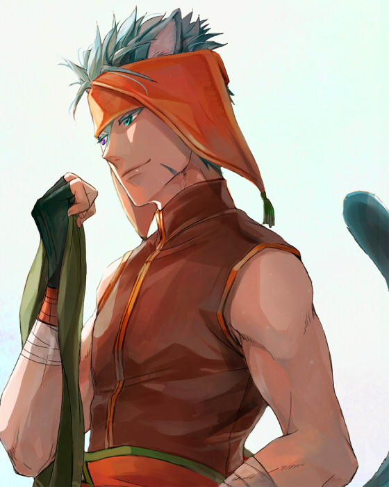 1boy, animal_ears, blue_hair, cat_boy, cat_ears, fingerless_gloves, fire_emblem, fire_emblem:_path_of_radiance