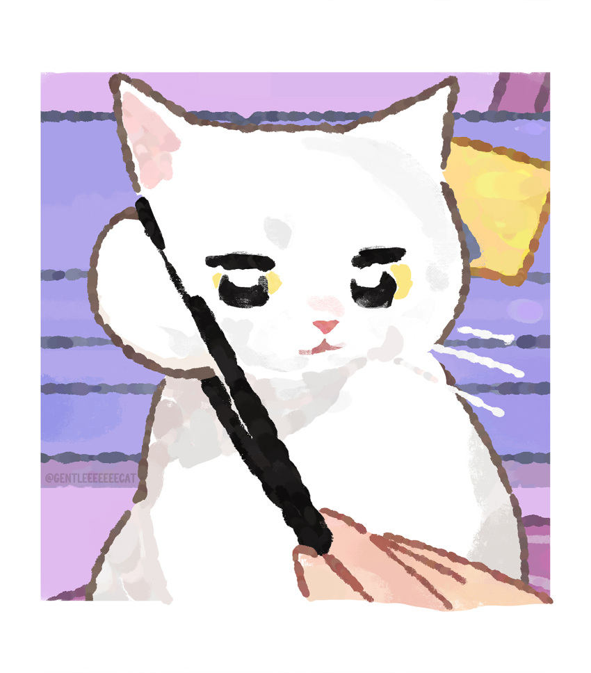 1other, animal, animal_focus, artist_name, border, cat, chopsticks, disembodied_finger, gentlecat, highres, holding, indoors, looking_down, no_humans, original, photo-referenced, upper_body, watermark, whiskers, white_border, white_cat, yellow_eyes