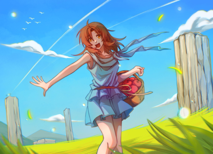 1girl, :d, ancient_ys_vanished, apple, arkibk, basket, blue_dress, blue_sky