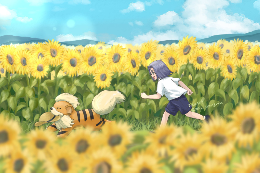 1boy, aged_down, blue_hair, blue_shorts, blue_sky, field, flower, flower_field