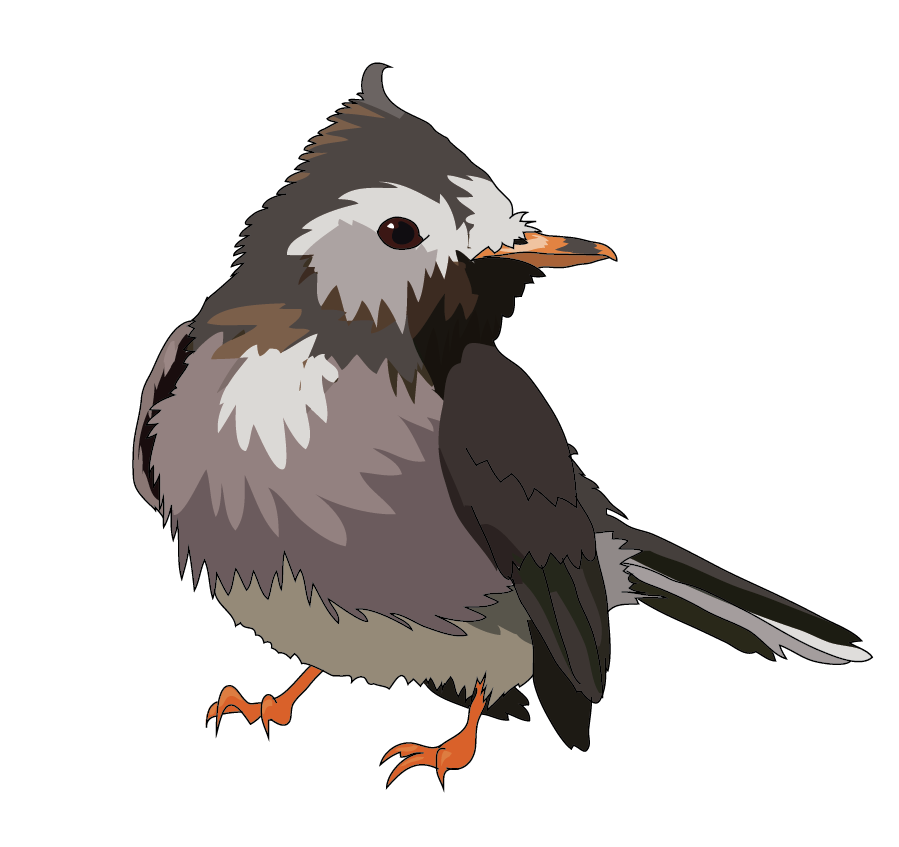 animal_focus, bird, black_phoebe_(bird), brown_eyes, closed_mouth, commentary, crest, english_commentary, full_body, looking_at_viewer, looking_to_the_side, mf99k, no_humans, pokemon, pokemon_(creature), realified, simple_background, solo, standing, starly, turning_head, white_background