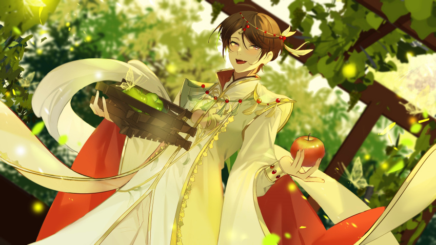 1boy, :d, apple, aqua_coat, arabian_clothes, box, brown_hair, bug