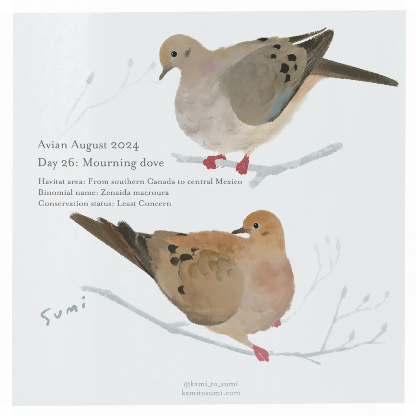 animal, animal_focus, animal_name, artist_name, bird, border, branch, brown_feathers