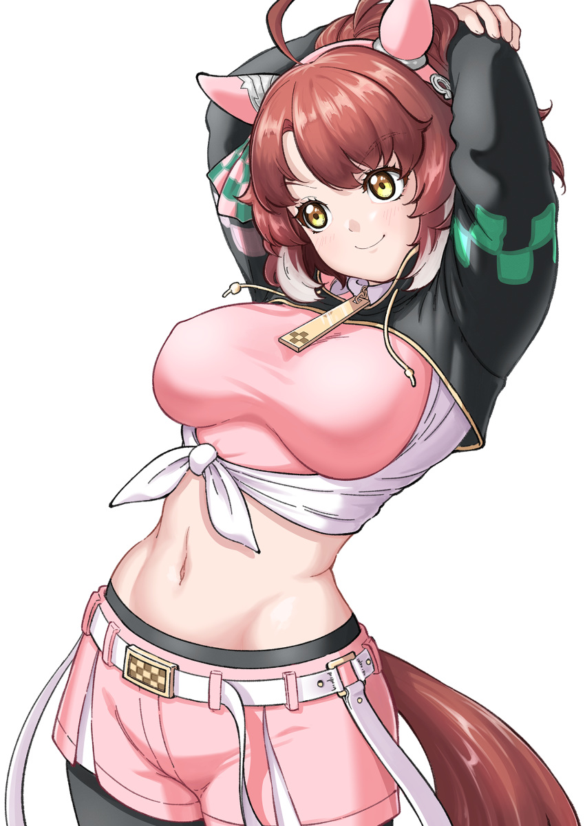 1girl, ahoge, animal_ears, arms_up, belt, blush, breasts, brown_hair