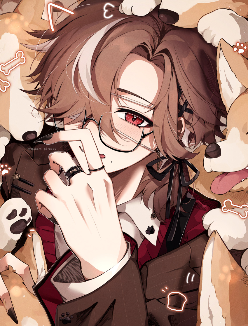 1boy, absurdres, animal, black-framed_eyewear, black_nails, black_ribbon, brown_hair, brown_jacket, buttoned_cuffs, buttons, cartoon_bone, collared_shirt, commentary_request, dog, drawn_ears, fingernails, glasses, hair_behind_eyewear, hair_ornament, hair_over_one_eye, hanami_haru, highres, jacket, jewelry, lapels, long_fingernails, long_sleeves, looking_at_viewer, male_focus, mole, mole_under_mouth, multicolored_hair, multiple_rings, original, parted_hair, paw_print, red_eyes, red_sweater, ribbon, ring, semi-rimless_eyewear, shirt, short_hair, solo, streaked_hair, sweater, tongue, tongue_out, twitter_username, under-rim_eyewear, upper_body, welsh_corgi, white_hair, white_shirt, x_hair_ornament