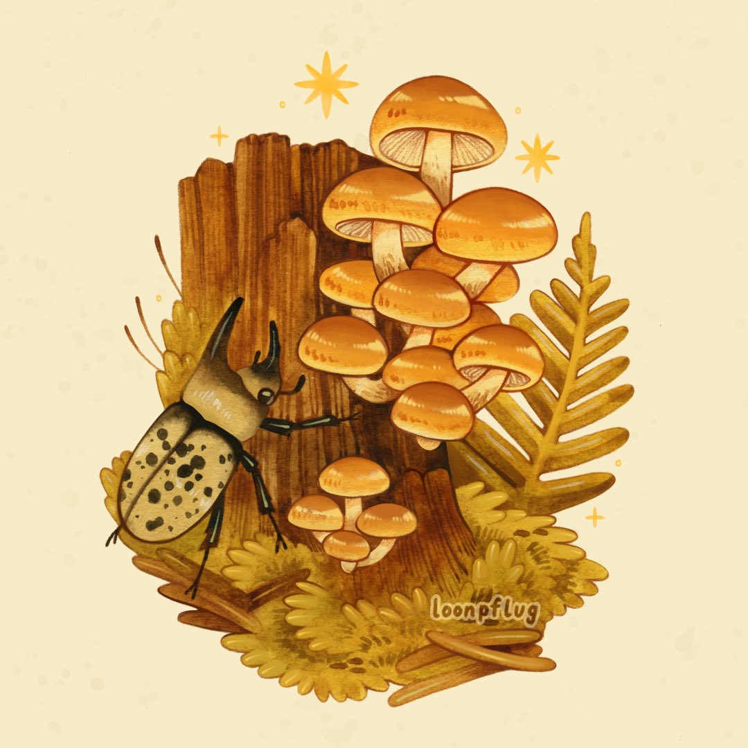 animal, animal_focus, artist_name, beetle, bug, commentary, english_commentary, enoki_(mushroom)