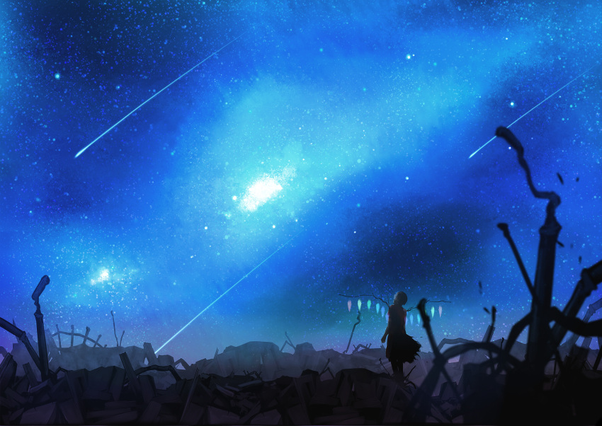 adult, bad_id, flandre_scarlet, from_behind, highres, milky_way, night, night_sky