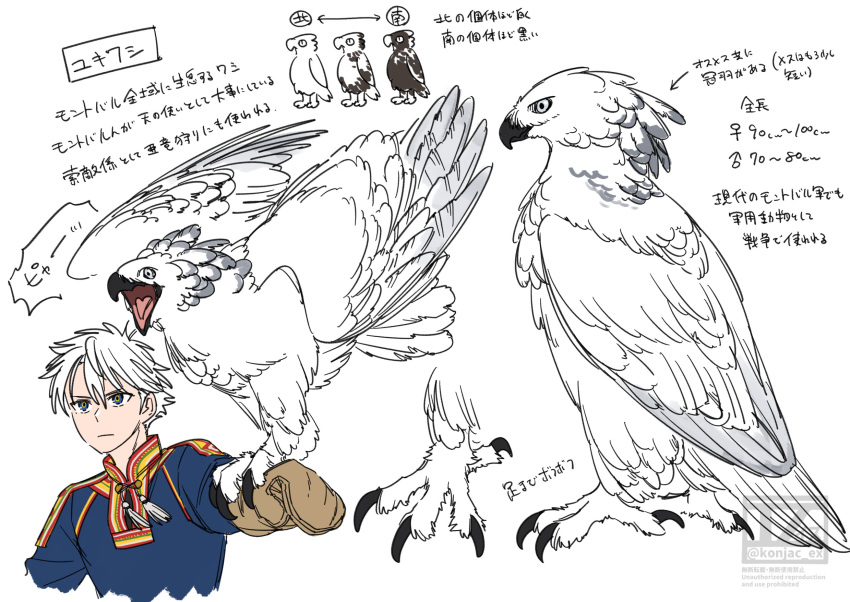 1boy, animal, animal_on_arm, bird, bird_on_arm, blue_eyes, commentary_request, eagle