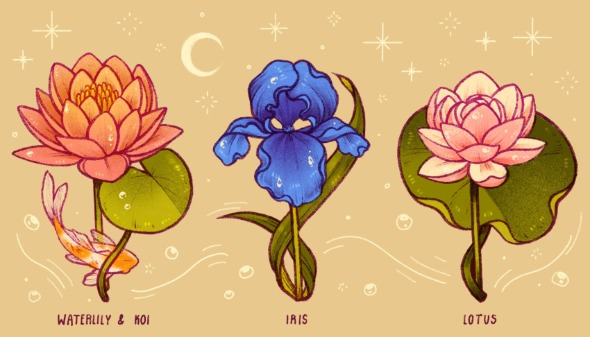animal, blue_flower, commentary, crescent, english_commentary, english_text, fish, flower, flower_focus, highres, iris_(flower), koi, leaf, lianne_pflug, lily_pad, lotus, lotus_leaf, no_humans, original, pink_flower, simple_background, sparkle, water_lily_flower