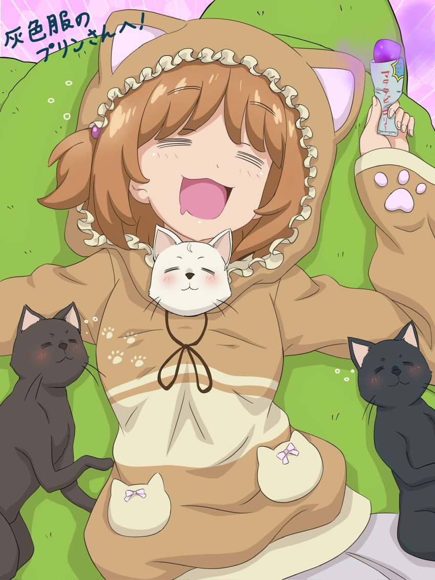 1girl, =_=, blush, brown_hair, cat, girls_und_panzer, hair_bobbles, hair_ornament
