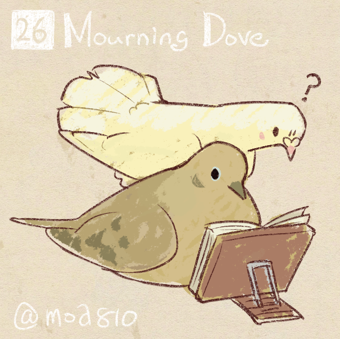 ?, animal, animal_focus, animal_name, bird, book, dove, hato_moa, mourning_dove, no_humans, original, twitter_username
