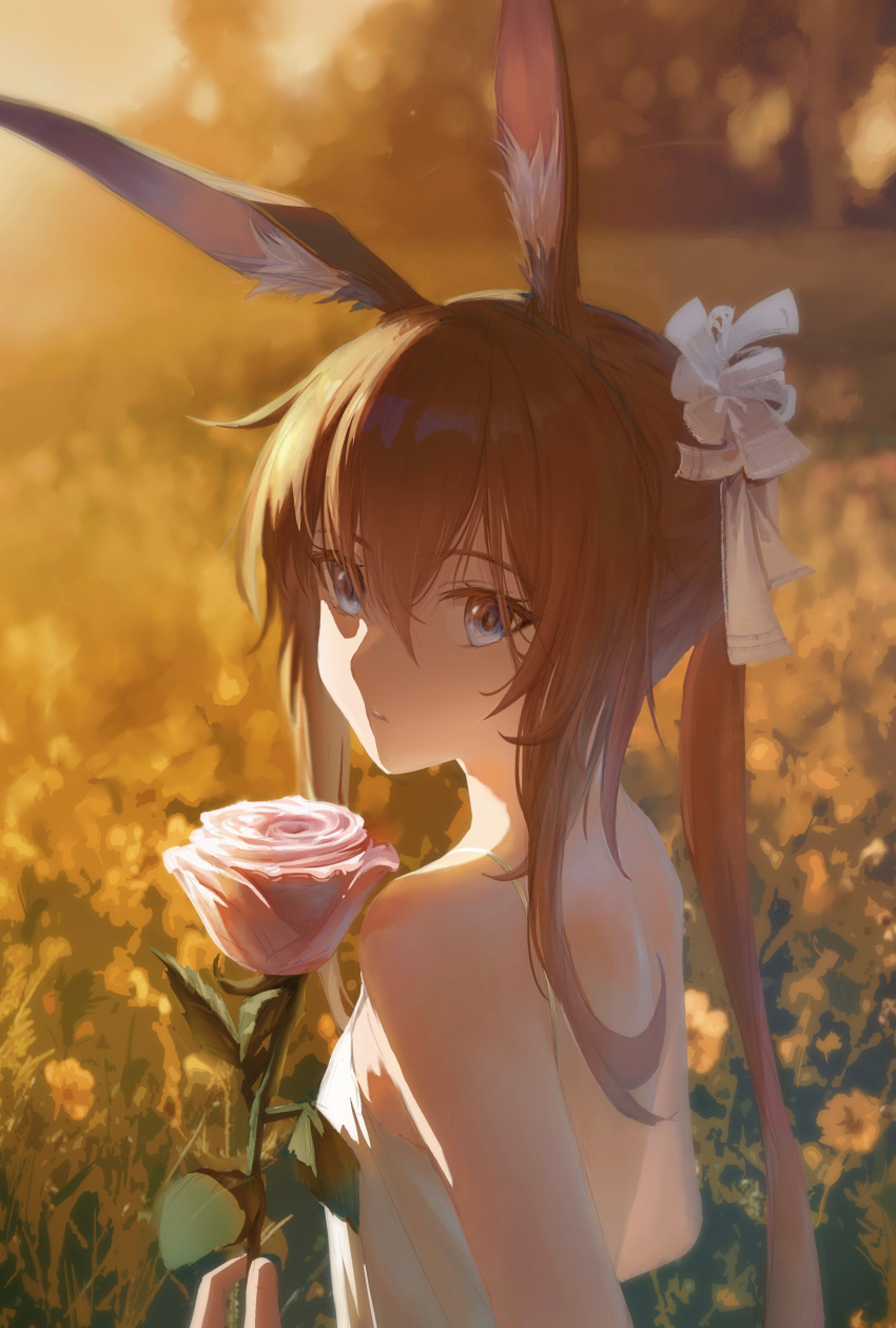 1girl, 1other, absurdres, amiya_(arknights), animal_ear_fluff, animal_ears, arknights, bare_shoulders, blue_eyes, brown_hair, dress, field, flower, giving_flower, hair_between_eyes, hair_ornament, highres, holding, holding_flower, long_hair, looking_back, outdoors, parted_lips, pov, pov_hands, rabbit_ears, rabbit_girl, ribbon, rose, solo_focus, upper_body, white_dress, white_ribbon, yomou_pawf4375