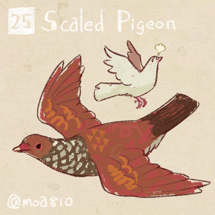 animal, animal_focus, animal_name, bird, hato_moa, no_humans, original, scaled_pigeon