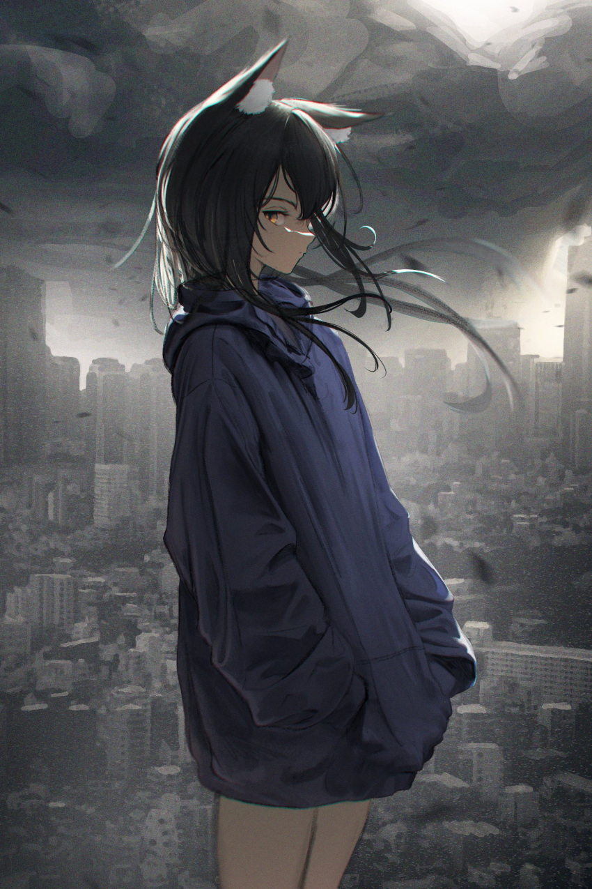 1girl, absurdres, alternate_costume, animal_ear_fluff, animal_ears, arknights, black_hair, chromatic_aberration, cityscape, closed_mouth, clouds, cowboy_shot, film_grain, hands_in_pocket, highres, hood, hood_down, hoodie, lit_for_20, long_hair, long_sleeves, looking_at_viewer, outdoors, profile, purple_hoodie, sideways_glance, solo, standing, texas_(arknights), wind, wolf_ears, wolf_girl, yellow_eyes