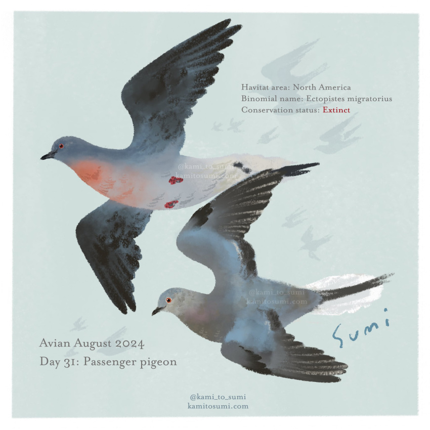 animal, animal_focus, animal_name, artist_name, bird, border, english_text, green_background, highres, kami_to_sumi, no_humans, original, passenger_pigeon, pigeon, twitter_username, white_border