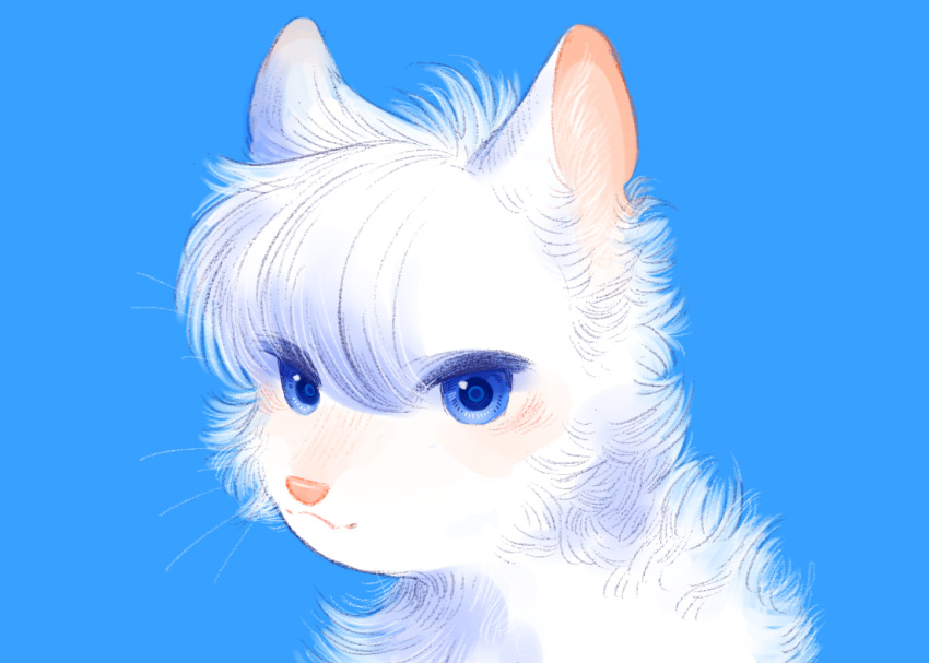 :3, animal, animal_focus, blue_background, blue_eyes, blush, cat, cloudtail, commentary_request, neko_gokoro, no_humans, short_hair, simple_background, smile, upper_body, warrior_cats, white_cat, white_fur, white_hair