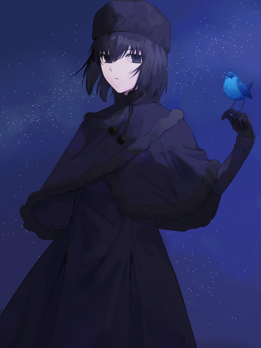 1girl, absurdres, animal, bird, bird_on_hand, black_capelet, black_dress, black_eyes, black_gloves, black_hair, black_hat, blue_bird, capelet, closed_mouth, commentary_request, dress, expressionless, fur-trimmed_capelet, fur_collar, fur_trim, gloves, hat, highres, kuonji_alice, littlebird_label, long_sleeves, looking_at_viewer, lost_robin_rondo, mahou_tsukai_no_yoru, night, night_sky, short_hair, sky, star_(sky)