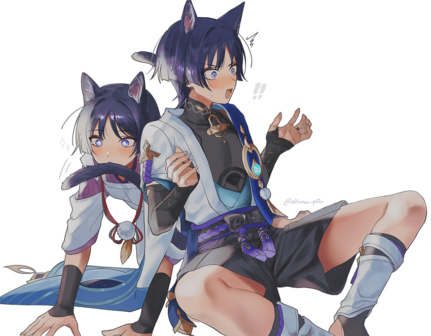 !, !!, 2boys, all_fours, anemo_symbol_(genshin_impact), animal_ears, aqua_sleeves, armor
