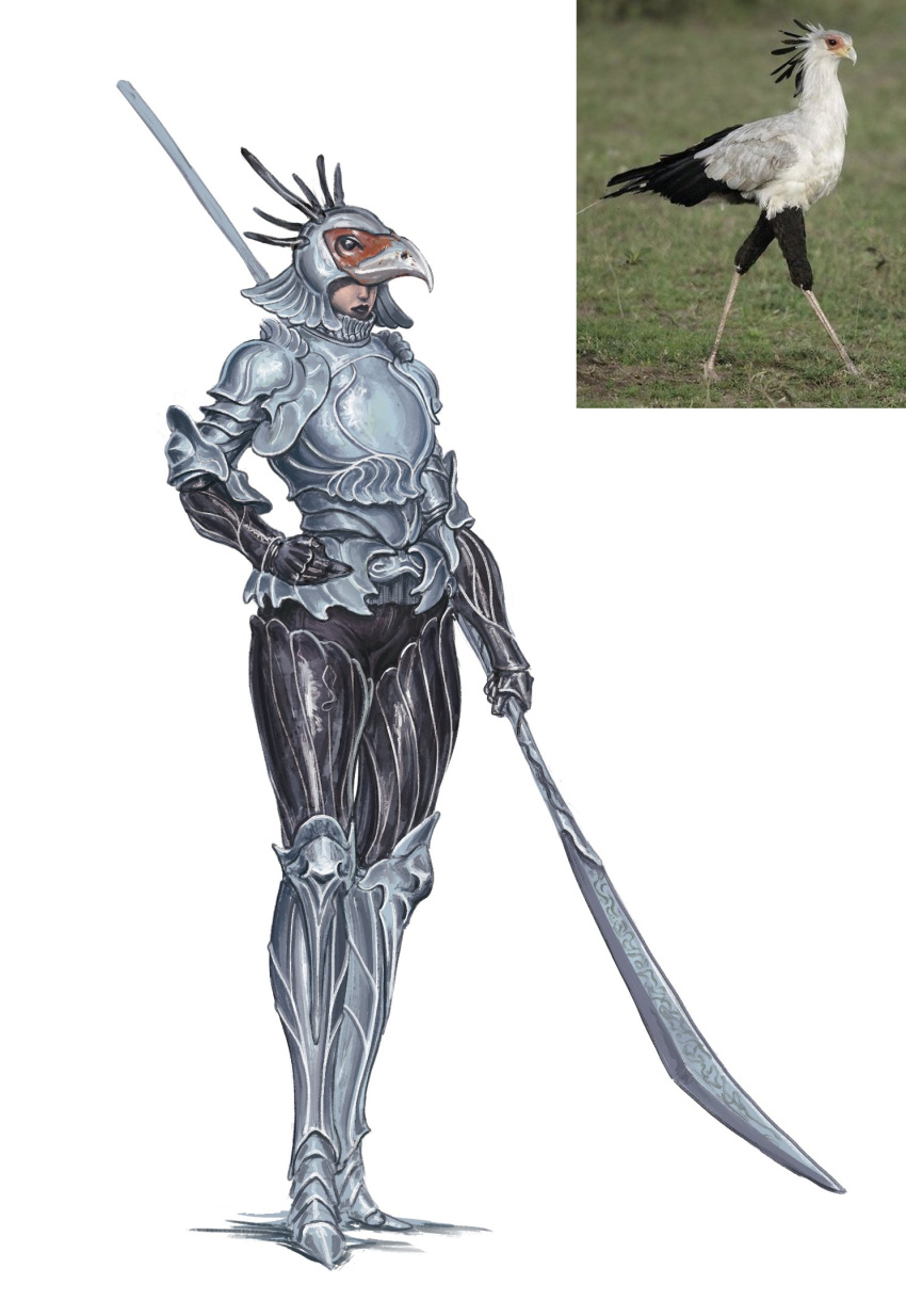 1other, animal, animal_helmet, animal_request, armor, bird, full_armor, gauntlets, halberd, helmet, highres, holding, holding_polearm, holding_weapon, original, personification, photo_inset, polearm, simple_background, tu_tka, weapon, white_background