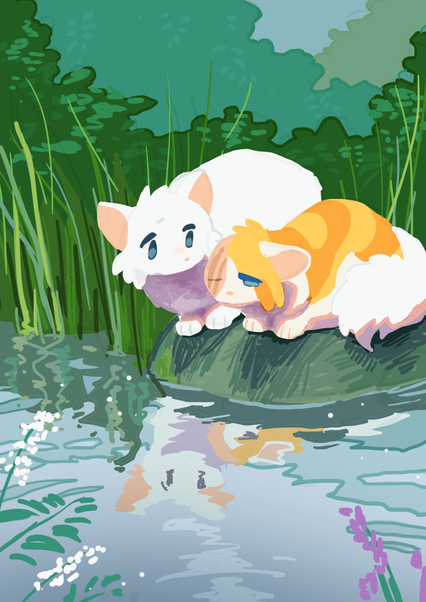absurdres, animal, animal_focus, blue_eyes, brightheart, cat, cloudtail, commentary_request