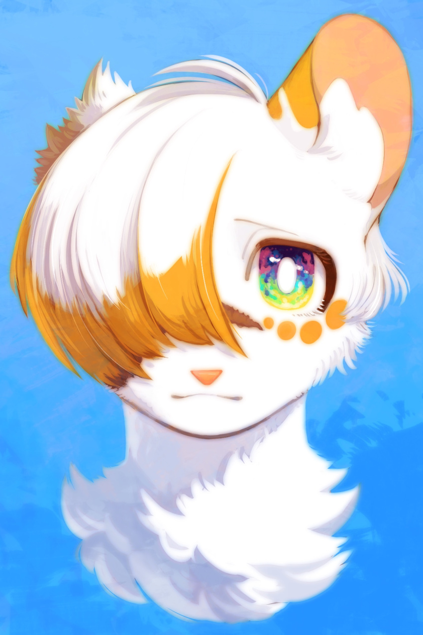 animal, animal_focus, blue_background, bright_pupils, brightheart, cat, commentary_request, cropped_head