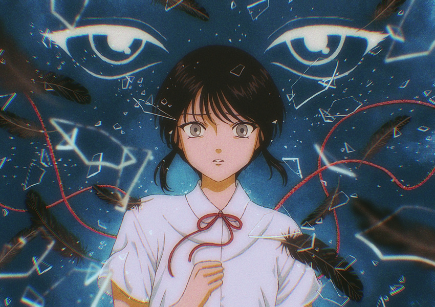 1girl, anime_coloring, black_hair, collared_shirt, commentary_request, edaori, feathers, glass_shards