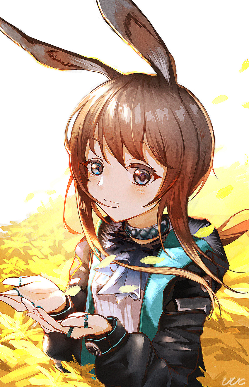 1girl, absurdres, amiya_(arknights), animal_ears, arknights, black_jacket, blue_eyes, brown_hair