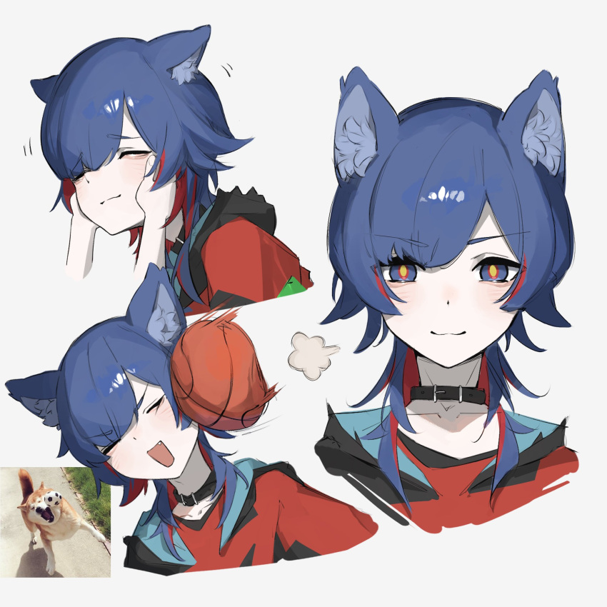 1girl, 1other, :d, animal_ear_fluff, animal_ears, ball, basketball_(object), black_choker, black_jacket, blue_eyes, blue_hair, choker, closed_eyes, closed_mouth, commentary_request, cropped_shoulders, disembodied_hand, dog, dog_ears, dog_girl, fang, hands_on_another's_cheeks, hands_on_another's_face, highres, hood, hood_down, hooded_jacket, jacket, kamitsubaki_studio, kemonomimi_mode, looking_at_viewer, momori0118, motion_lines, multicolored_clothes, multicolored_eyes, multicolored_hair, multicolored_jacket, multiple_views, open_mouth, photo-referenced, photo_inset, puff_of_air, red_jacket, redhead, rim_(kamitsubaki_studio), simple_background, smile, two-tone_hair, v-shaped_eyebrows, virtual_youtuber, white_background, yellow_pupils