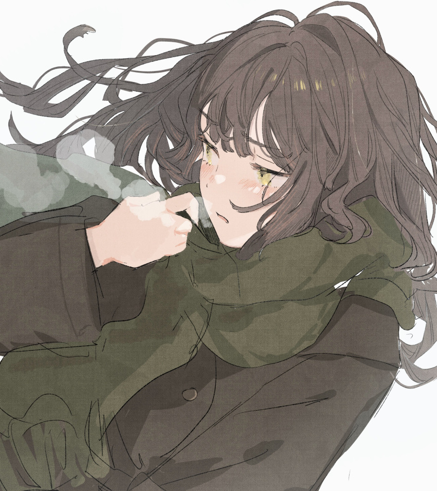 absurdres, blunt_bangs, blush, brown_coat, brown_hair, coat, eyelashes, highres