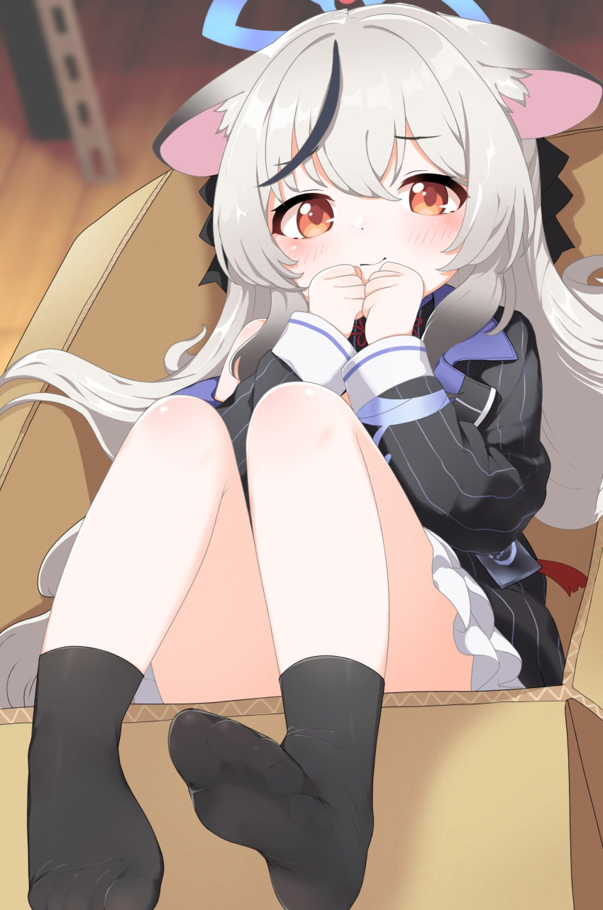 1girl, animal_ears, black_bow, black_socks, blue_archive, blue_halo, blush, bow