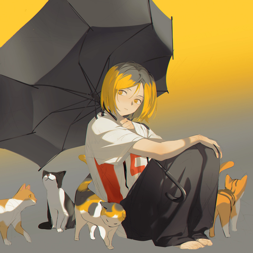 1boy, barefoot, black_hair, black_umbrella, blonde_hair, cat, chanc030, closed_mouth