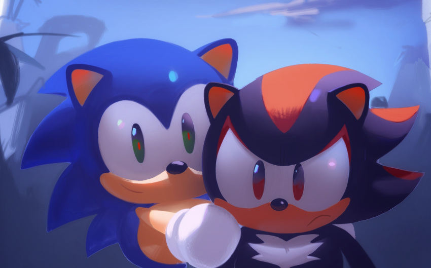2boys, animal_ears, animal_nose, closed_mouth, commentary, day, english_commentary, frown, furry, furry_male, gloves, green_eyes, hand_on_another's_shoulder, highres, looking_at_viewer, male_focus, multiple_boys, murzanic, outdoors, red_eyes, shadow_the_hedgehog, smile, sonic_&amp;_friends, sonic_(series), sonic_the_hedgehog, white_gloves