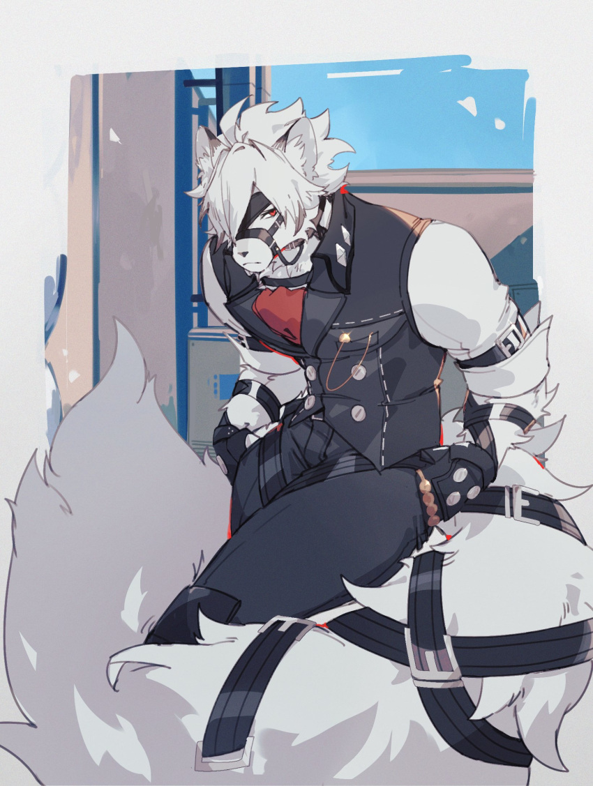 1boy, animal_ear_fluff, arm_belt, belt, belt_buckle, black_belt, black_gloves, black_pants