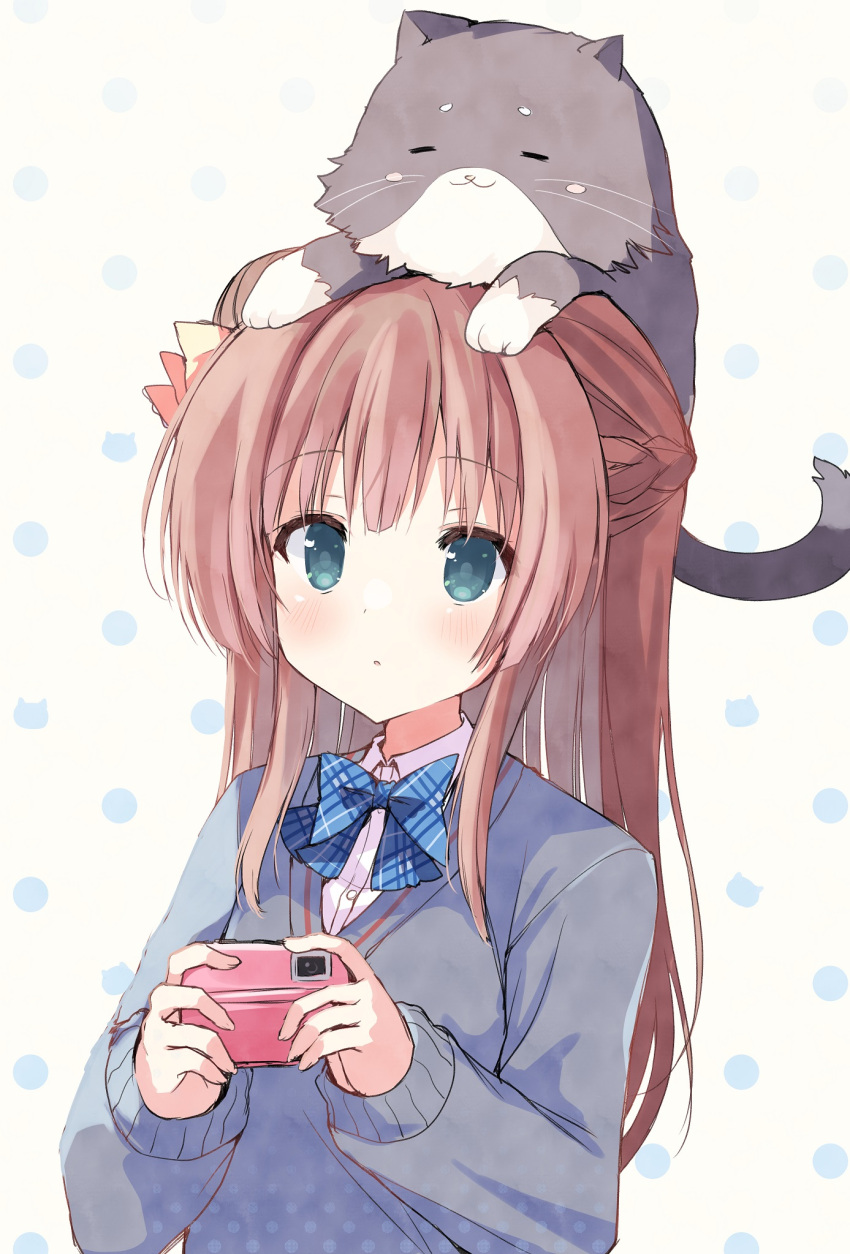 1girl, :3, =_=, animal_on_head, aqua_eyes, black_cat, blue_bow, blue_bowtie
